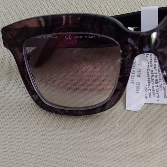 Etro Luxury Sunglasses.
